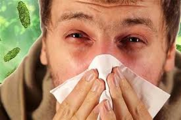 گفته می شود که آلرژی در فصل بهار شدت پیدا می کند. مهم ترین نوع آلرژی در این فصل کدام است؟